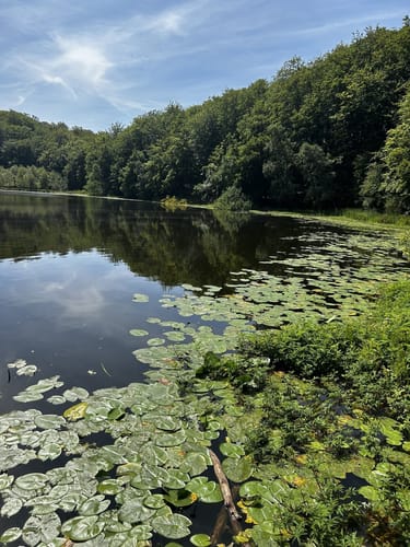 Schwarzer See Rundweg 