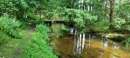 Brunnen- und Quellenweg (Premiumwanderweg)