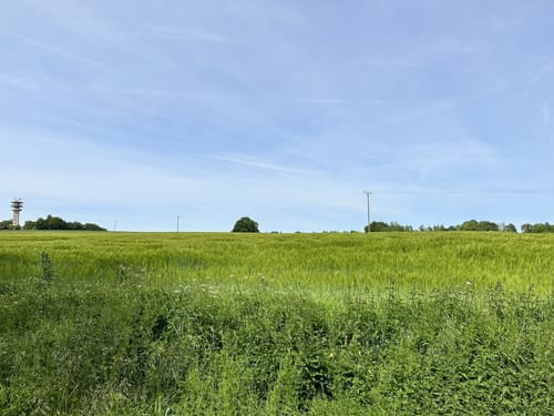 Jedermann 65 km