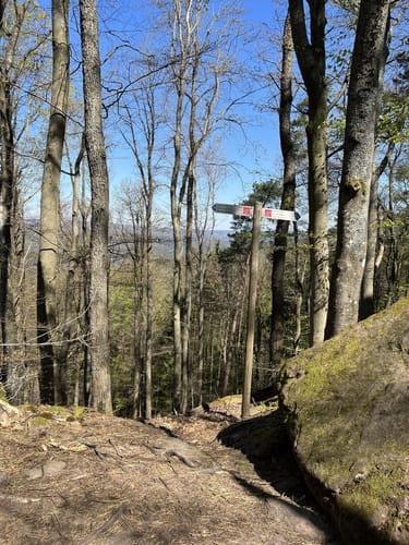 Spirkelbacher Höllenbergtour (Premiumwanderweg)