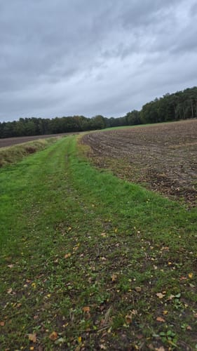 Von der Eselranch zum Landhagen