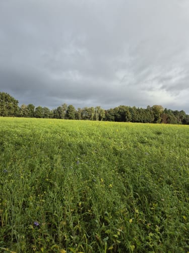 Von der Eselranch zum Landhagen