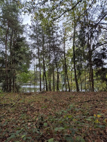 Von der Eselranch zum Landhagen