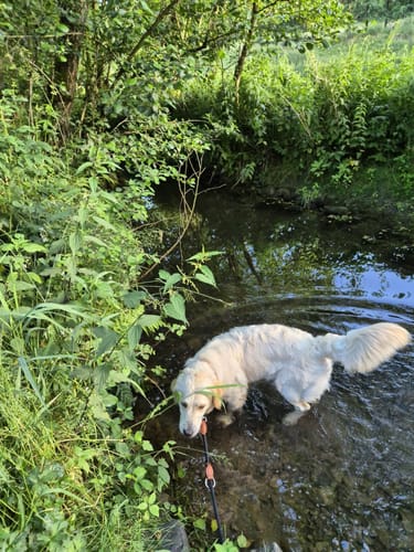 Kleine Runde an der Ennepe