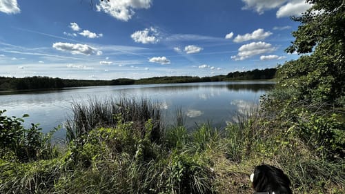 Großer Lausiger Teich