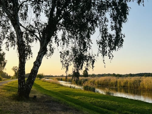 Entlang der Schwarzen Elster