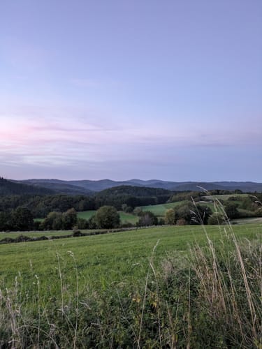 Südöstlich von Quiddelbach