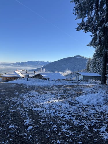 Tregler Alm