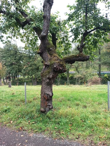 Kurpark Kreischa - Finkenfang - Lunkwitzer Höhlen