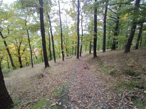 Kurpark Kreischa - Finkenfang - Lunkwitzer Höhlen