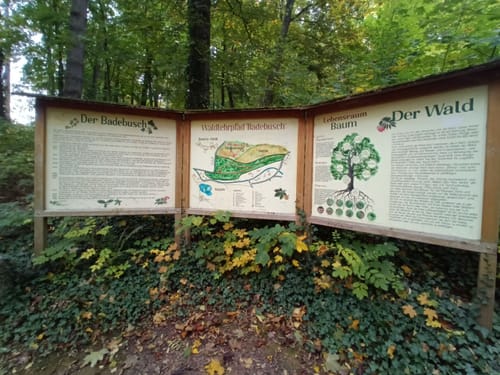 Kurpark Kreischa - Finkenfang - Lunkwitzer Höhlen