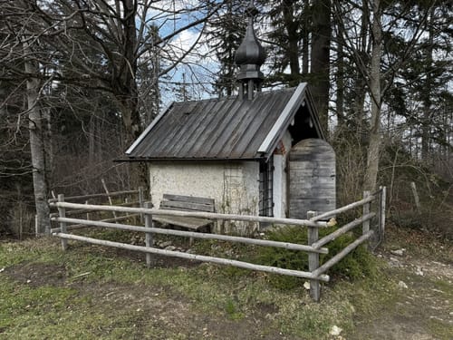 Hochriesbahn Mittelstation - Schmiedalm Rundwanderung