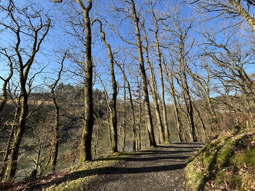 Um den Stausee Bitburg