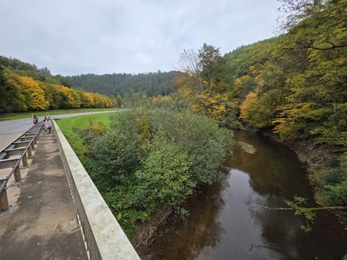 Von Bruch entlang der Salm