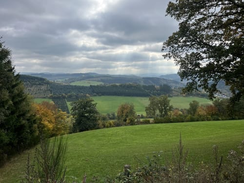 Wenholthausen Rundweg W5