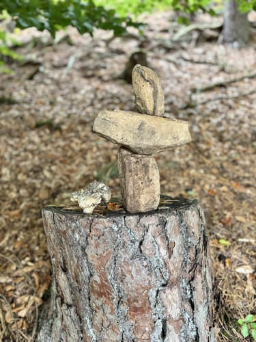 Christenbergtour (Premiumwanderweg)