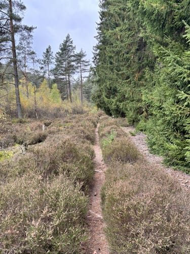 Christenbergtour (Premiumwanderweg)