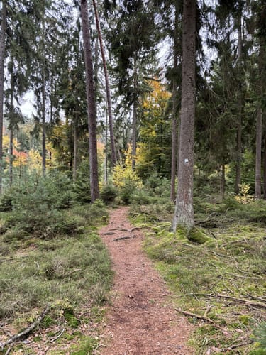 Christenbergtour (Premiumwanderweg)