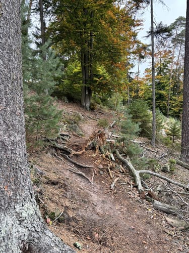 Christenbergtour (Premiumwanderweg)