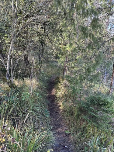 Aus Gartenberg in die Isarauen