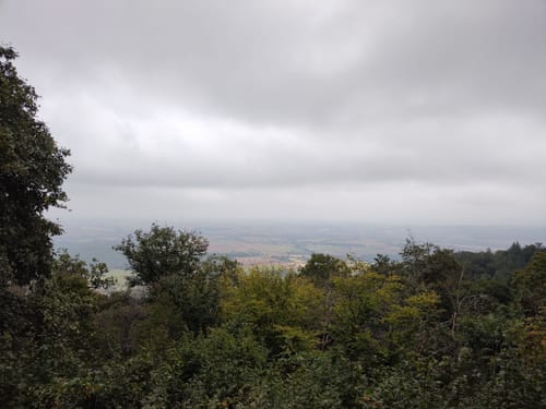 Donnersberg-Runde 1: Ludwigsturm-Weg