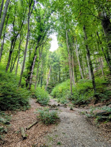 Landshut Kasernen Trail