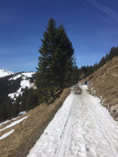 Weiherkopf Rundwanderung