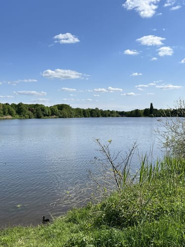 Rund um den Vechtesee
