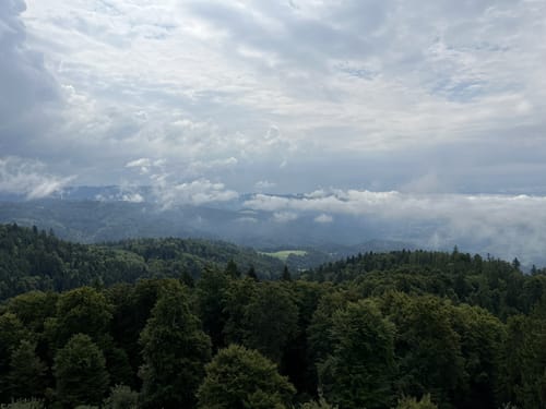 Zell im Wiesental - Hohe Möhr-Turm - Atzenbacher Wasserfall