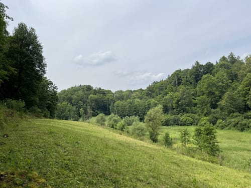 Egloffstein zu dem Burgstein