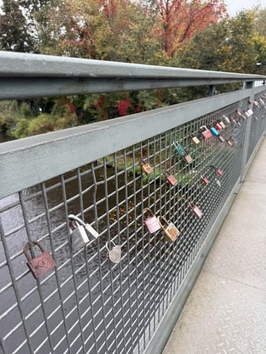 Berliner Mauerweg Etappe 9:  Lichterfelde Süd - Griebnitzsee
