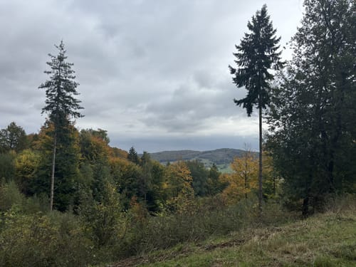 Rund um Lehnkämpe und Till (St 5)
