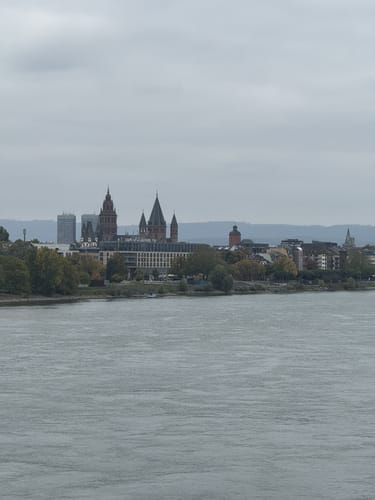 Mainzer Brückentour