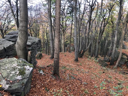 Ith-Kammweg und Jürgensweg Rundweg