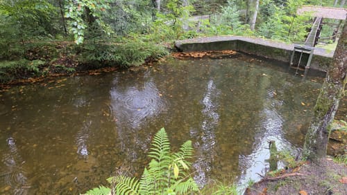 Wasserrad Paradies