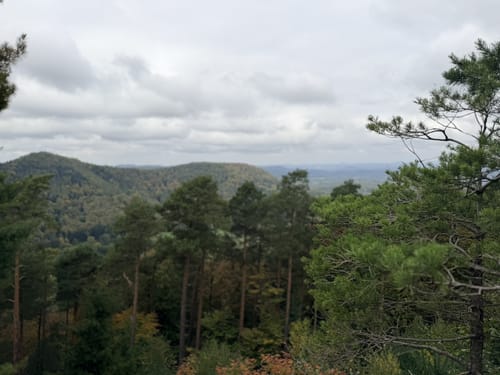 Fleckenstein - Nothweiler par les Châteaux et le Kappelstein