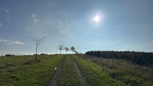 Runde zwischen Lampaden und Geisemerich