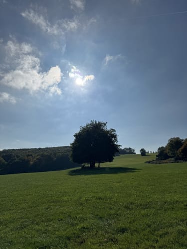 Runde zwischen Lampaden und Geisemerich
