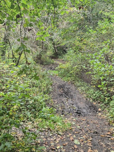 Rund um den Westensee