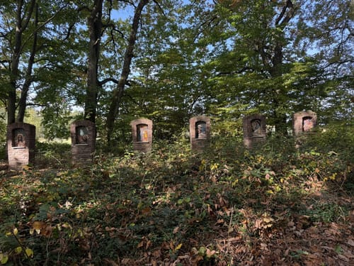 Waldzeit (Traumschleife)