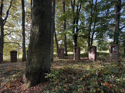 Waldzeit (Traumschleife)