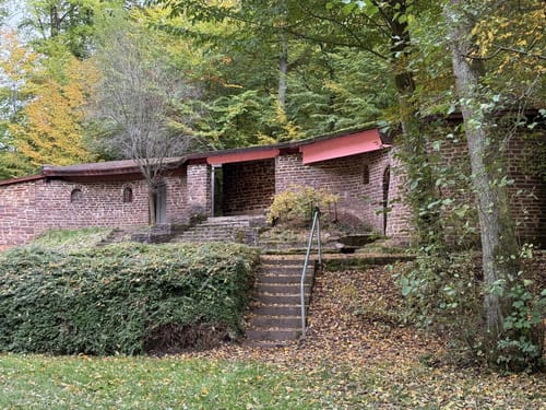 Waldzeit (Traumschleife)