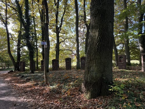 Waldzeit (Traumschleife)