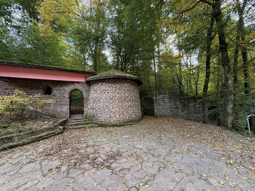 Waldzeit (Traumschleife)