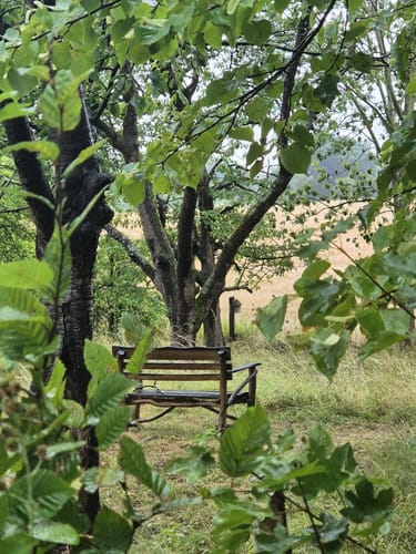 Erlebnispfad 2 Östlicher Harly