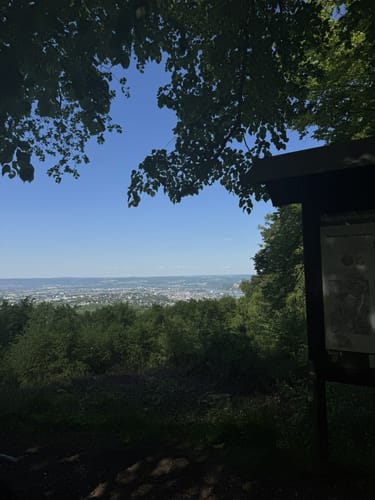 Vom Kühkopf zum Dummelberg und dem Rittersturz