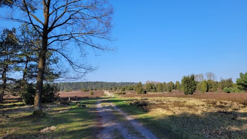Heidschnuckenweg Etappe 5: Niederhaverbeck - Bispingen