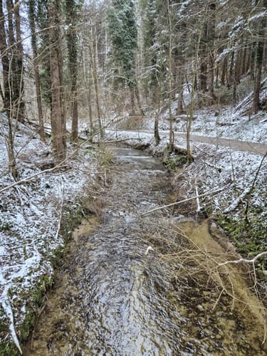 Um den Schmalegger Wasserfall und Ringgenburg