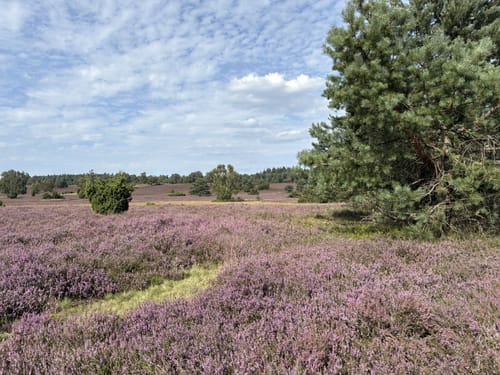 Rundwanderweg Oberhaverbeck O2