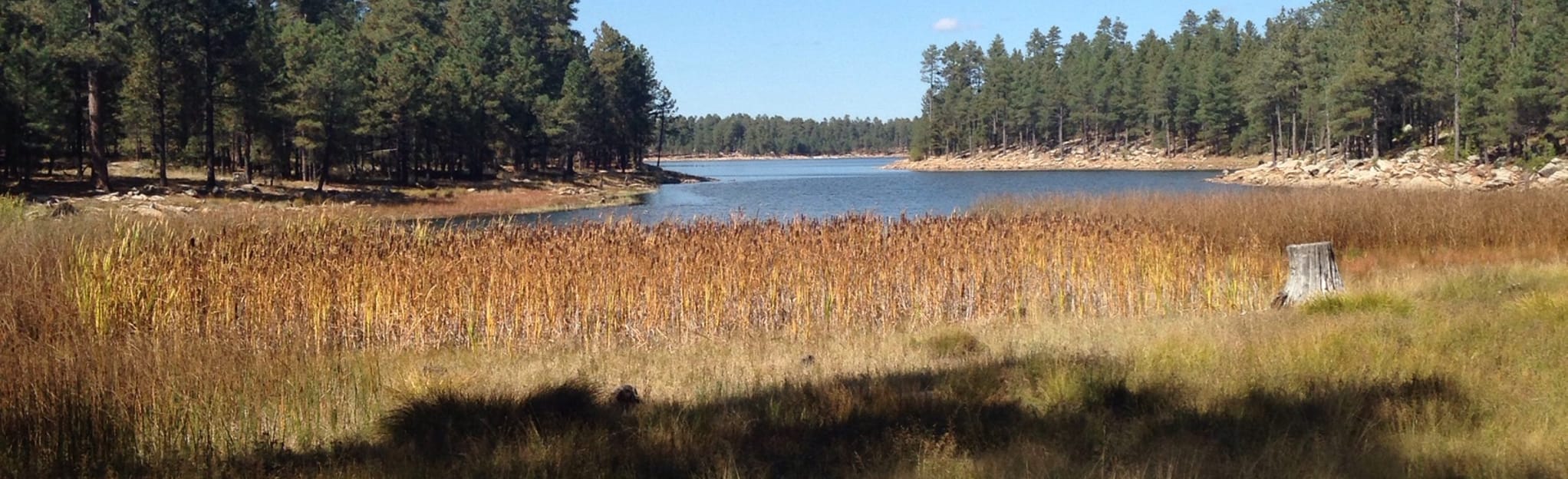 Willow Springs Lake Trail 89 Reviews, Map Arizona AllTrails